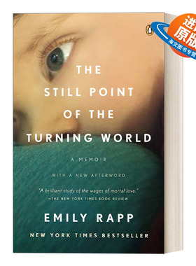英文原版 The Still Point of the Turning World 旋转的世界的静点 电影和摄影之间 Emily Rapp Black 英文版 进口英语原版书籍