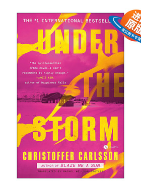 英文原版 Under the Storm 风暴之下 推理悬疑小说 Christoffer Carlsson 英文版 进口英语原版书籍