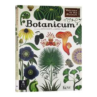 英语科普读物 英文原版 欢迎来到博物馆系列 英文版 精装 Botanicum 大开本 植物博物馆 进口原版 书籍儿童外文书