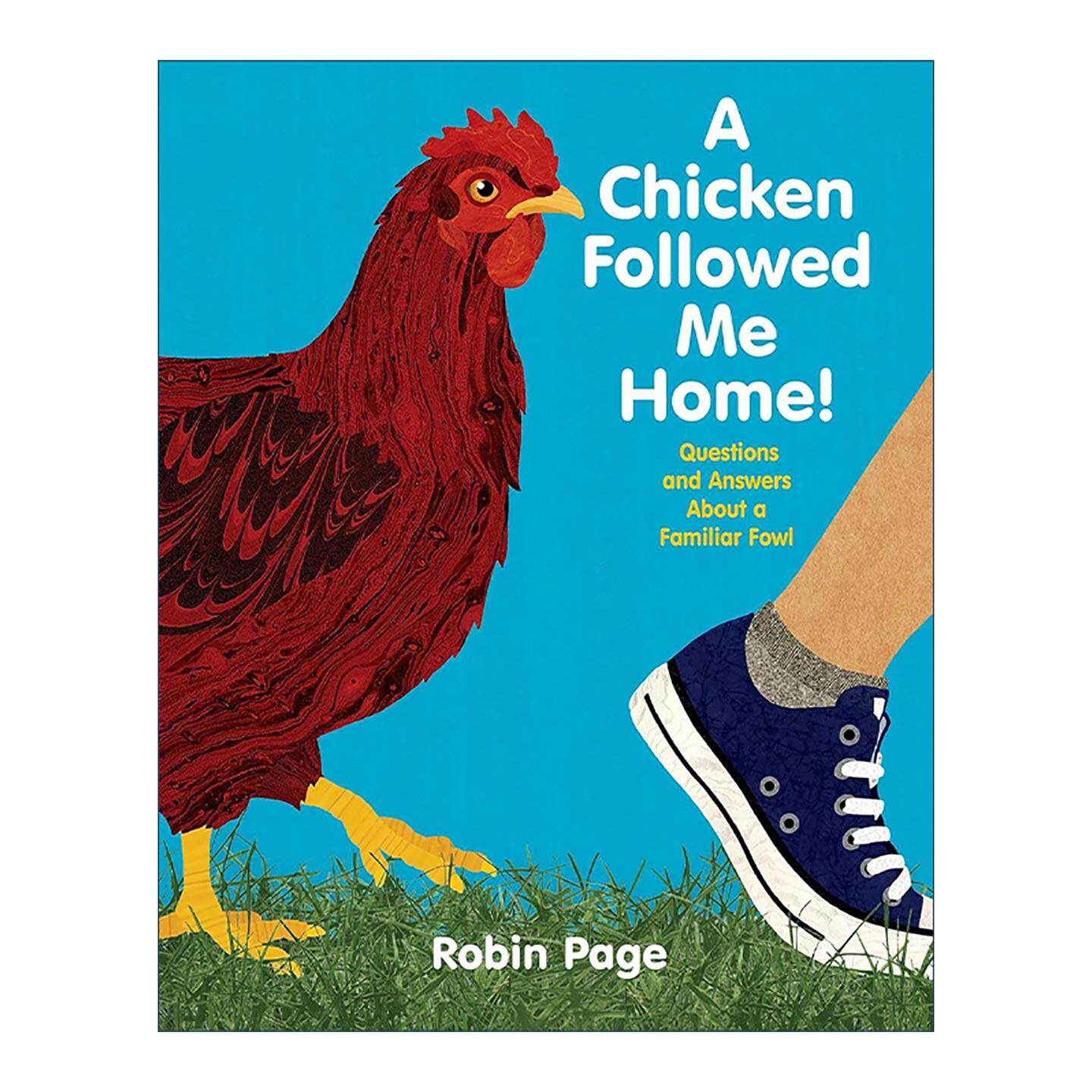 英文原版 A Chicken Followed Me Home 一只鸡跟着我回家 关于熟悉家禽的问答 精装 英文版 进口英语原版书籍