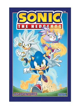 英文原版 Sonic the Hedgehog Vol.16 Misadventures 刺猬索尼克 第16卷 灾难 IDW儿童漫画 英文版 进口英语原版书籍