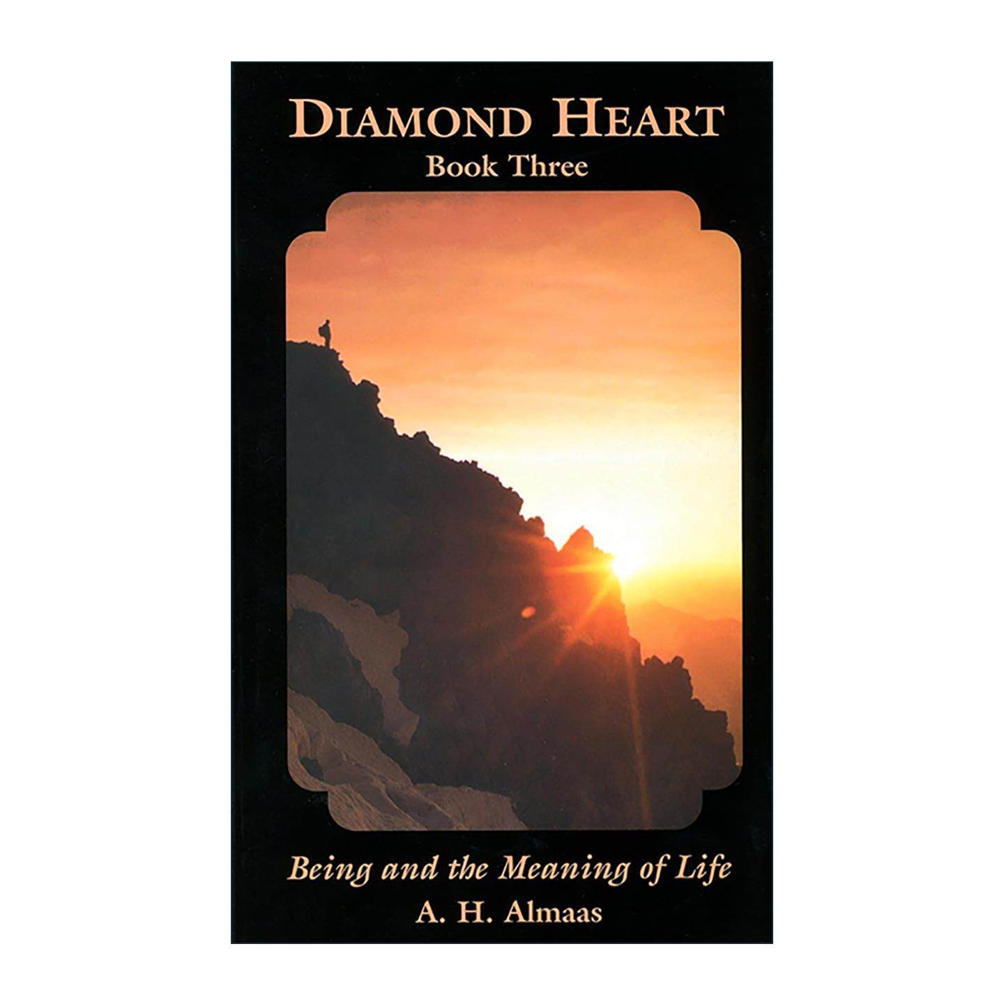 英文原版 Being and the Meaning of Life Diamond Heart  Book 3 自我的真相 钻石途径系列之三 英文版 进口英语原版书籍