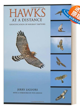英文原版 Hawks at a Distance Identification of Migrant Raptors 远处的鹰 迁徙猛禽的识别 鸟类指南 Jerry Liguori 英文版