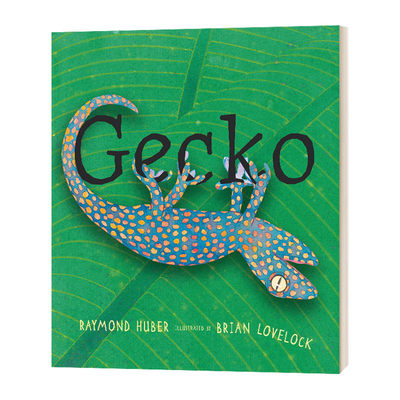 Gecko 壁虎 英文原版5-9岁儿童动物科普读物 Raymond Huber 精装 英文版 进口英语原版书籍儿童外文书