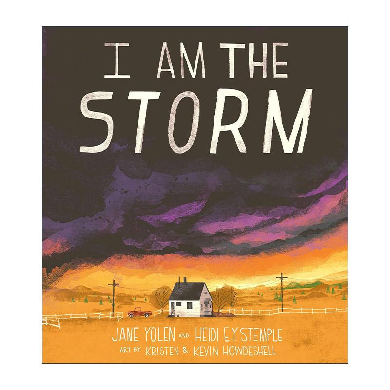 英文原版 I Am the Storm 我是风暴 儿童精装天气绘本 情绪启蒙认知 星云奖得主 月下看猫头鹰作者珍·尤伦 进口英语原版书籍