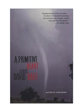 英文原版 A Primitive Heart 原始之心 短篇小说集 托尼奖得主David Rabe 英文版 进口英语原版书籍