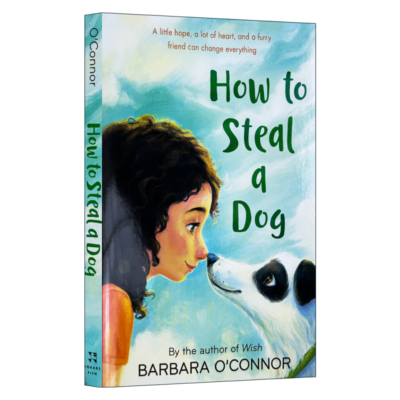 英文原版 How To Steal A Dog 如何偷走一只狗 道德与现实困境的现实性故事 女性力量与价值观题材小说 英文版 进口英语原版书籍