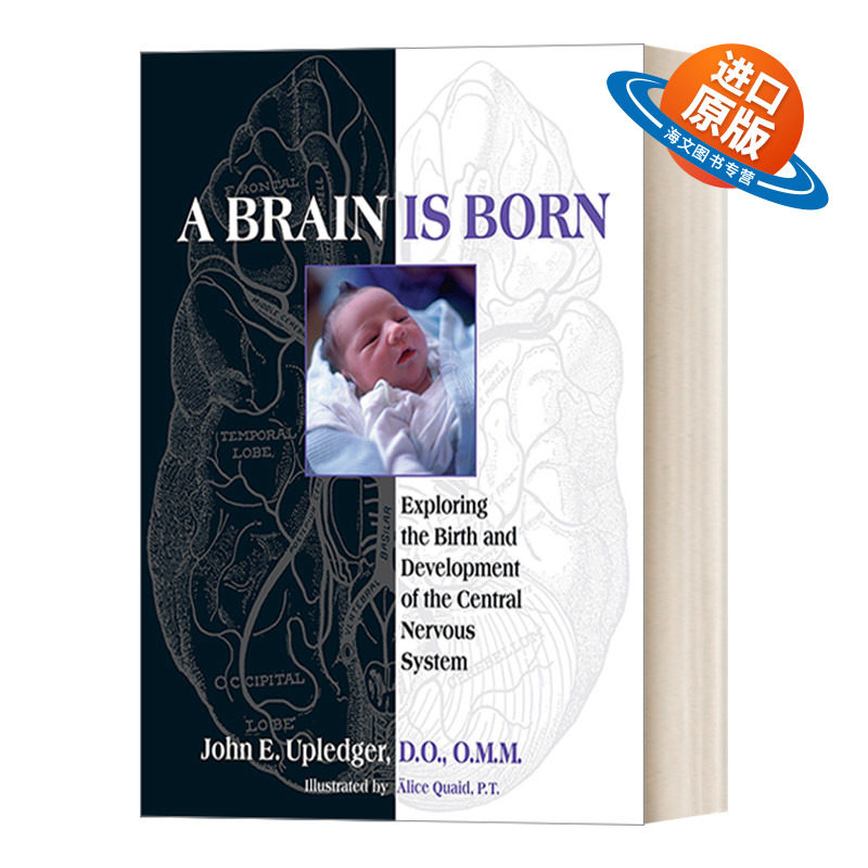 英文原版 A Brain Is Born 一个大脑的诞生 索中枢神经系统的诞生和发展 另类疗法 健康 John E.Upledger 英文版 进口英语原版书籍