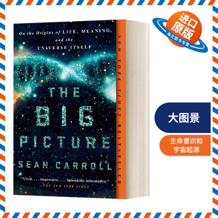 起源 意义和宇宙本身 大图景 论生命 Picture Sean 物理 英文原版 Carroll Big The 进口英语原版 英文版 书籍