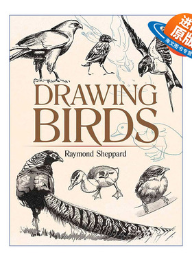 英文原版 Drawing Birds Dover Art Instruction 鸟类绘画指南 英国插画家Raymond Sheppard 英文版 进口英语原版书籍