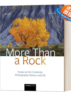 英文原版 More Than a Rock 2nd Edition 不止一块石头 第二版 关于艺术 创意 摄影 自然和生活的文章 进口英语原版书籍