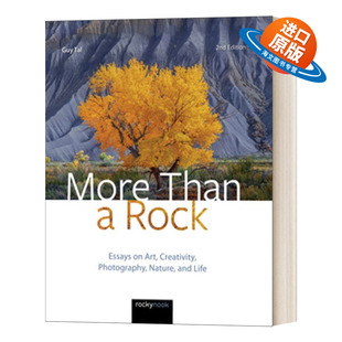 英文原版 More Than a Rock 2nd Edition 不止一块石头 第二版 关于艺术 创意 摄影 自然和生活的文章 进口英语原版书籍