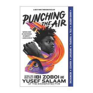 英文原版 Punching the Air 向空挥拳 洛杉矶时报奖 柯克斯年度图书奖 英文版 进口英语原版书籍