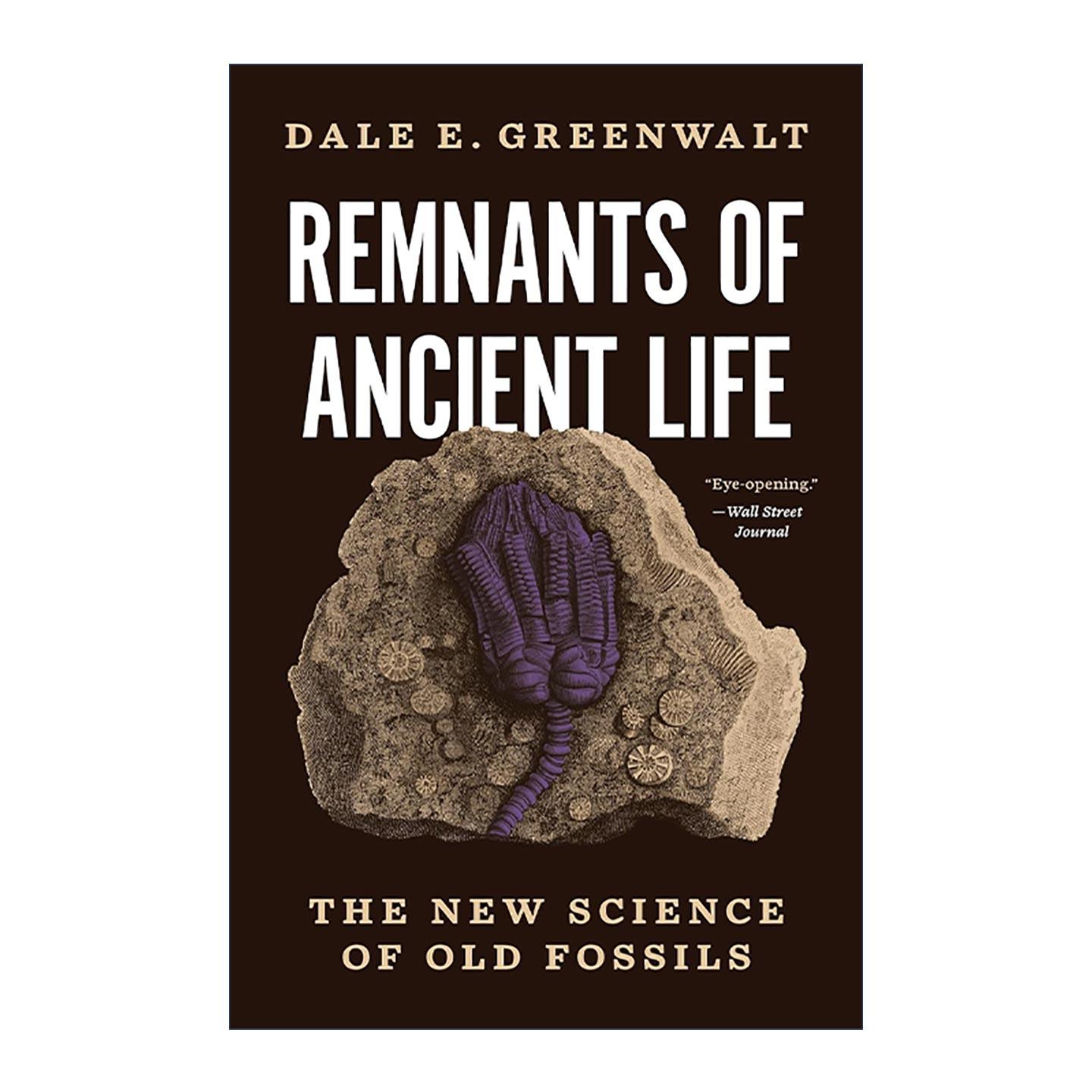 英文原版 Remnants of Ancient Life 古代生命的遗迹 古老化石的新科学 史密森学会国家自然历史博物馆研究员Dale E. Greenwalt