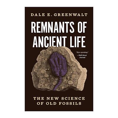 英文原版 Remnants of Ancient Life 古代生命的遗迹 古老化石的新科学 史密森学会国家自然历史博物馆研究员Dale E. Greenwalt