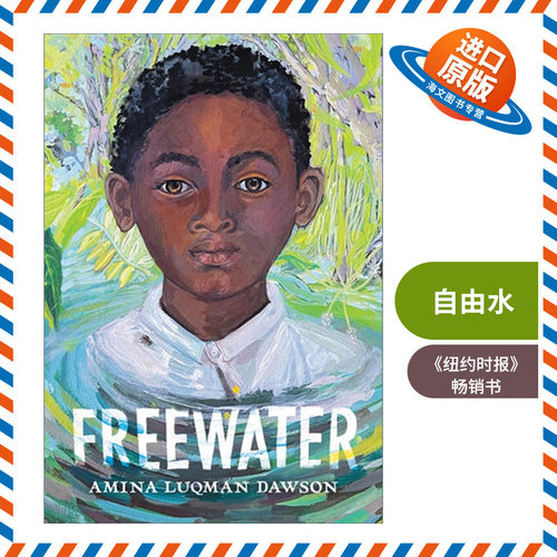 英文原版 Freewater 游离水 2023纽伯瑞金奖 精装 英文版 进口英语原版书籍
