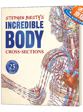 不可思议的大剖面 人体的秘密 英文原版 Stephen Biesty's Incredible Body Cross sections 25周年版 DK科普百科英文版进口英语书