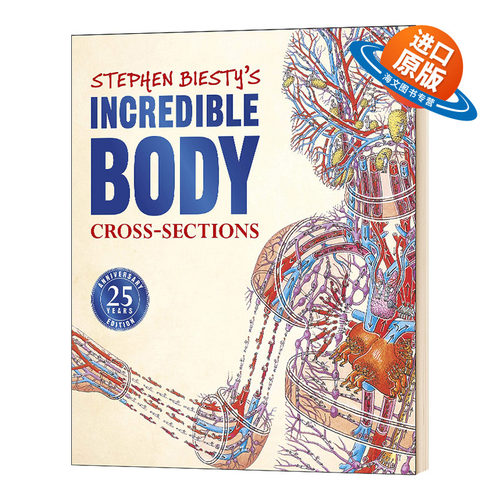 不可思议的大剖面 人体的秘密 英文原版 Stephen Biesty's Incredible Body Cross sections 25周年版 DK科普百科英文版进口英语书