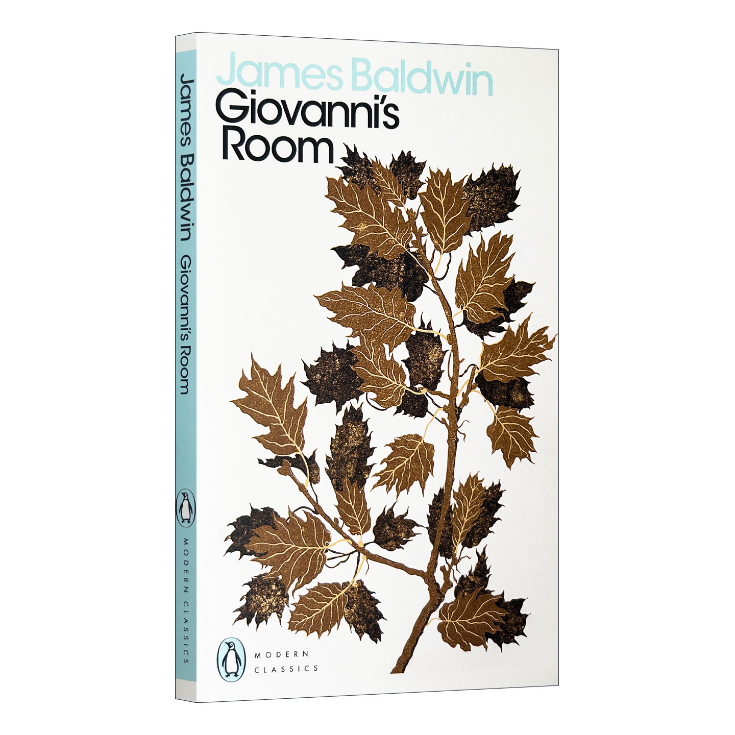 英文原版 Giovanni's Room 乔凡尼的房间 James Baldwin詹姆斯·鲍德温 英文版 进口英语原版书籍