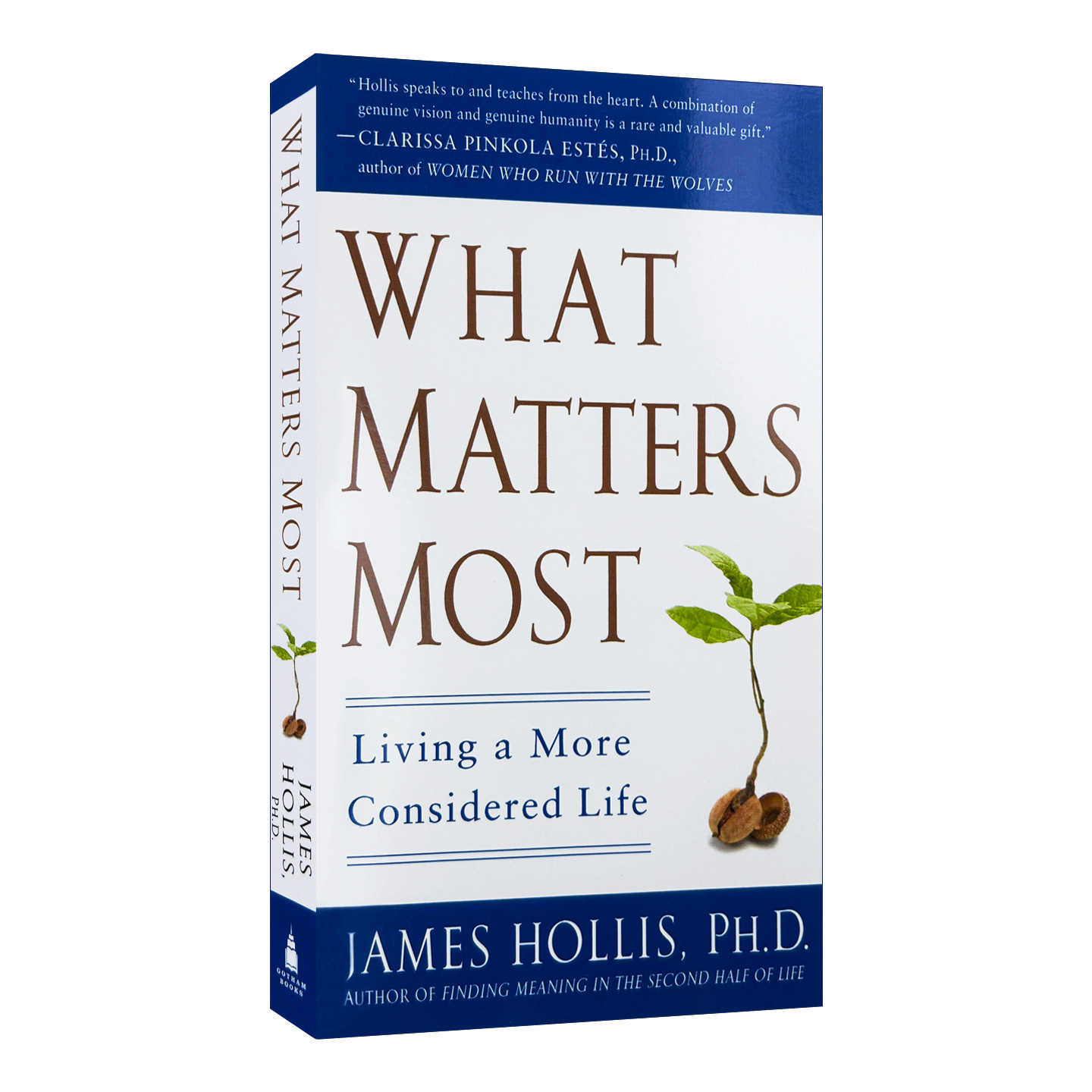 英文原版 What Matters Most 什么最重要 过一种更深思熟虑的生活 中年之路作者James Hollis 英文版 进口英语原版书籍