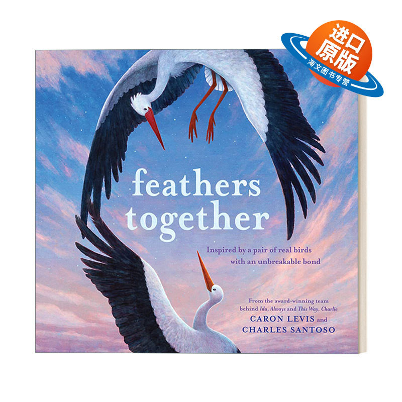英文原版绘本 Feathers Together 永远在一起 儿童动物故事精装绘本 Charles Santoso 英文版 进口英语原版书籍