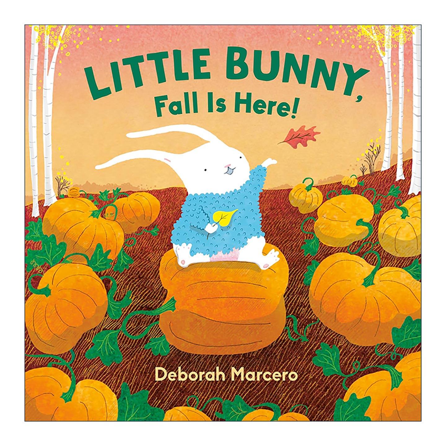 英文原版 Little Bunny Fall Is Here 小兔子 秋天来了 儿童季节启蒙认知绘本 纸板书 Deborah Marcero 英文版 进口英语原版书籍