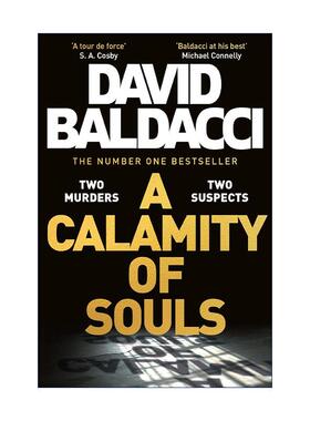 英文原版 A Calamity of Souls 灵魂之灾 惊悚悬疑推理小说 戴维·鲍尔达奇 David Baldacci 英文版 进口英语原版书籍