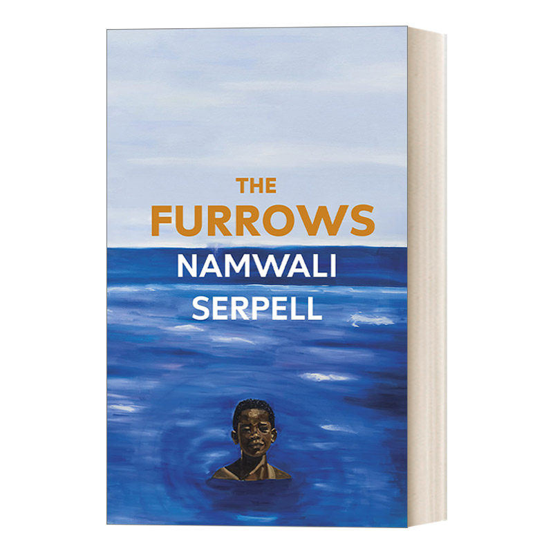 英文原版小说 the furrows 皱纹 亚瑟.