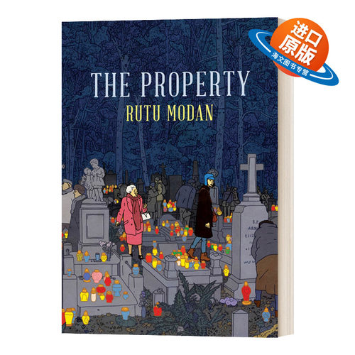 英文原版小说 Property 遗产 法国安古兰漫画大奖 艾斯纳年度图像小说 精装 Modan Rutu  The Property 英文版 进口英语原版书籍