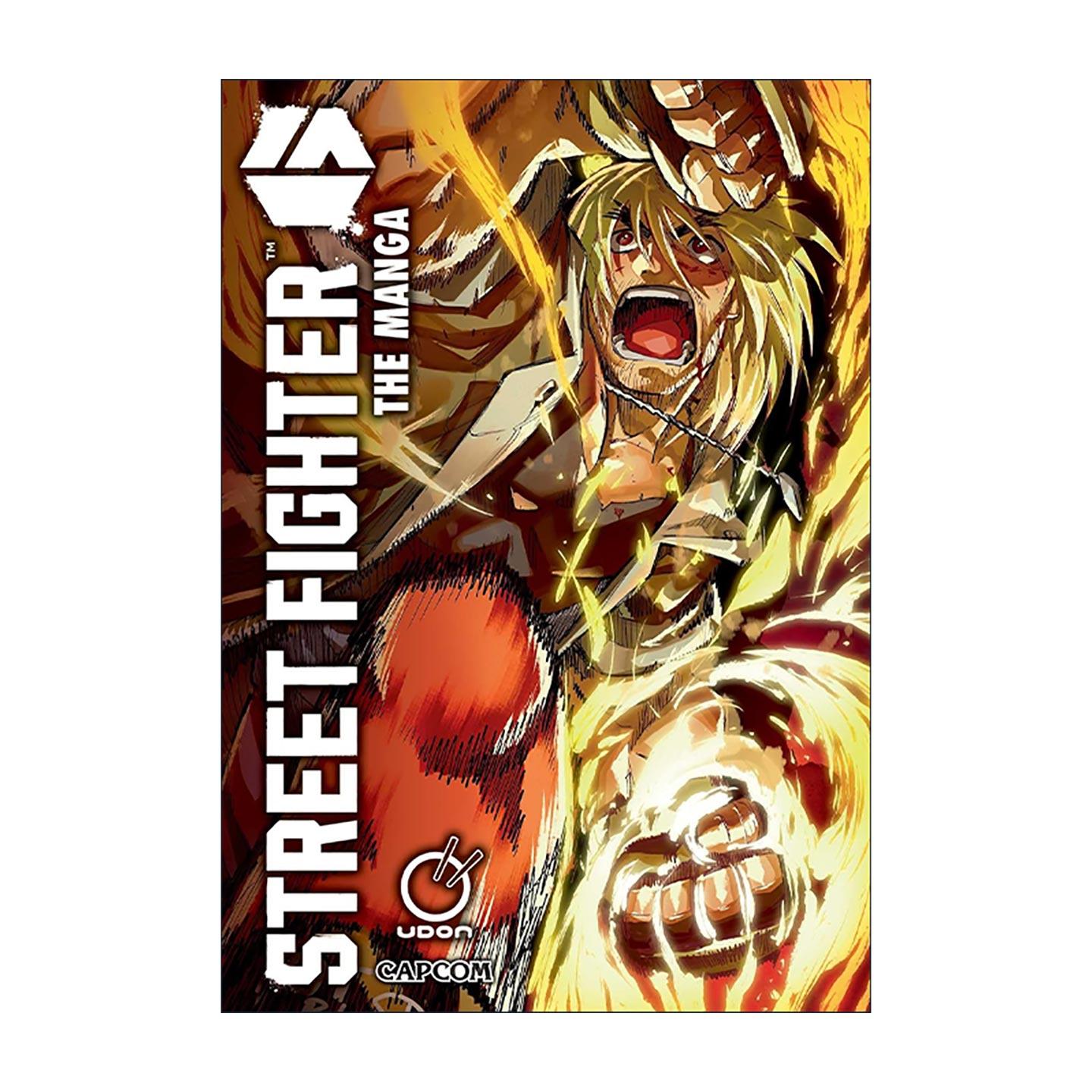 英文原版 Street Fighter 6 The Manga 街头霸王6 前传漫画 英文版 进口英语原版书籍