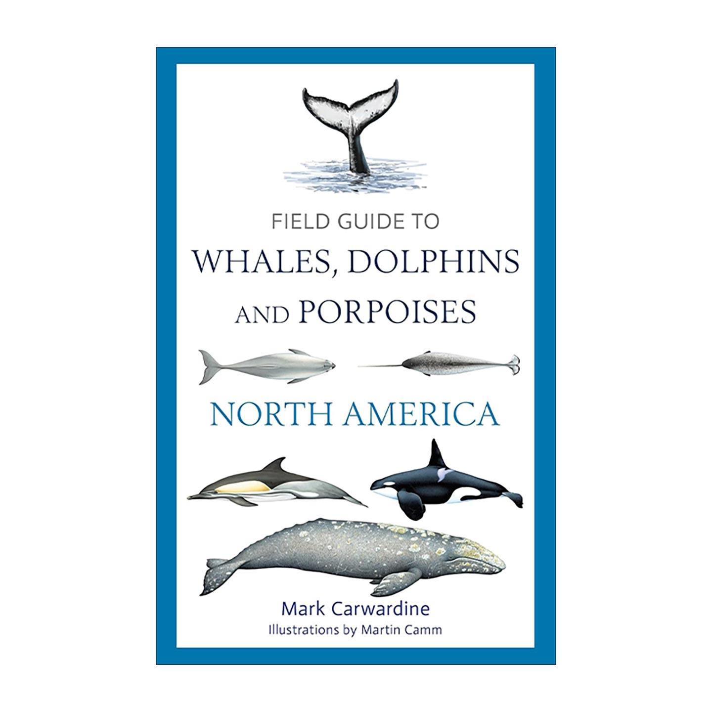 英文原版 Field Guide to Whales Dolphins and Porpoises of North America 北美鲸豚类野外指南 英文版 进口英语原版书籍