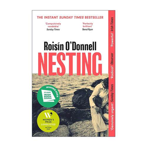 英文原版 Nesting 筑巢 关于家庭暴力 2025爱尔兰图书奖年度小说 女性小说奖长名单 英文版 进口英语原版书籍