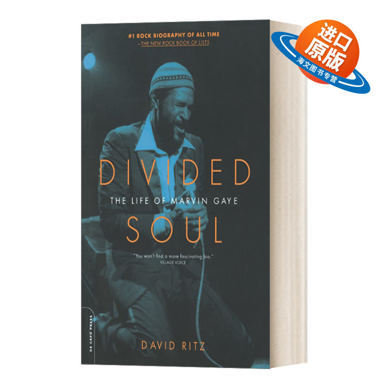 英文原版 Divided Soul 马文·盖伊传记 英文版 进口英语原版书籍