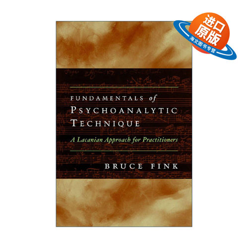 英文原版 Fundamentals of Psychoanalytic Technique 精神分析技术的基础 拉康派实践者指南 Bruce Fink 英文版 进口英语原版书籍
