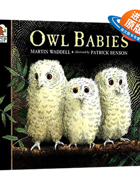 英文原版绘本 Owl Babies 小猫头鹰 童趣绘本 学前教育 4-6岁 Martin Waddell 英文版 进口英语原版书籍
