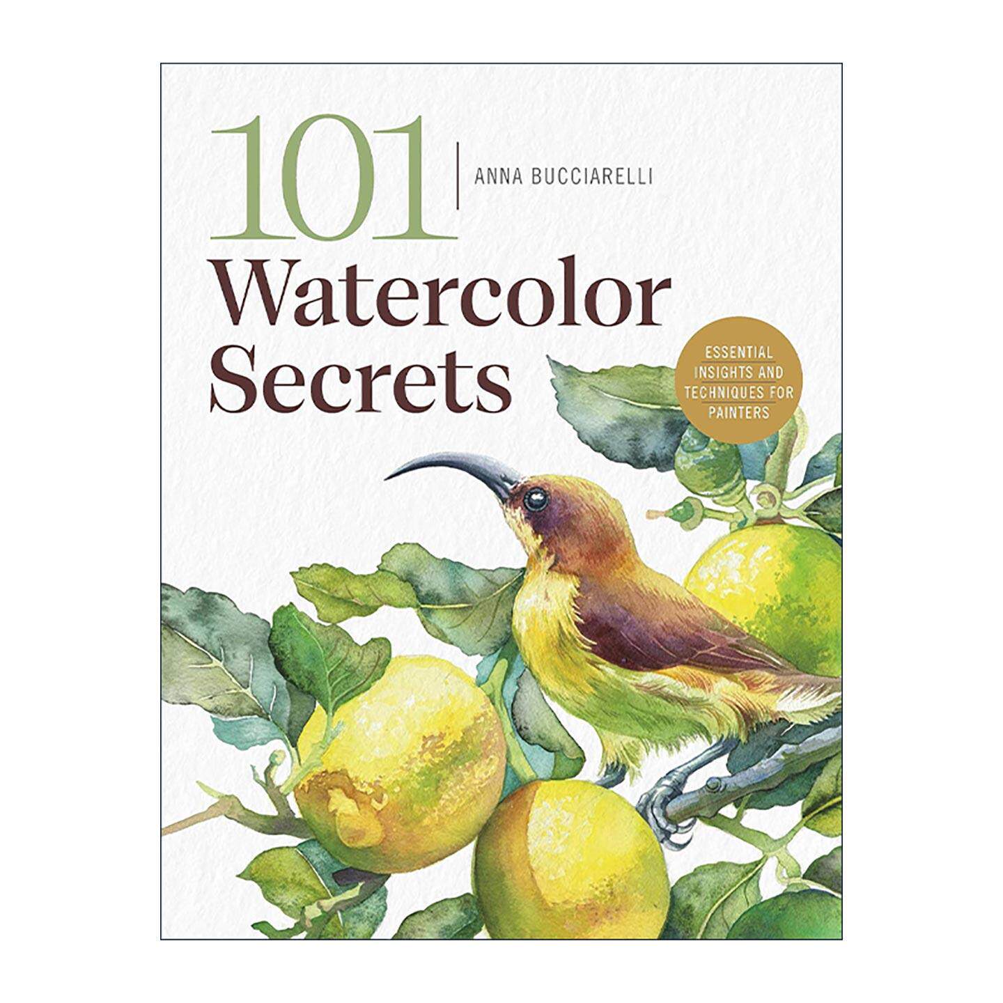 英文原版 101 Watercolor Secrets 101个水彩画秘诀 画家的基本见解和技术 绘画指南 英文版 进口英语原版书籍