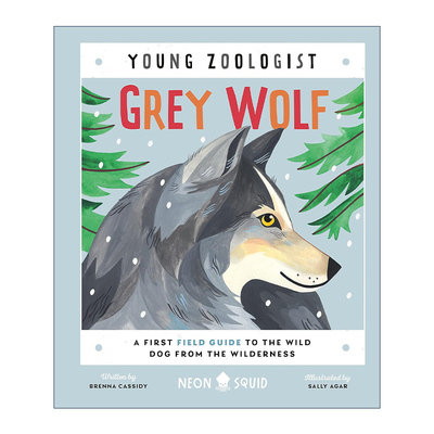 英文原版 Young Zoologist Grey Wolf 小动物学家 大灰狼 儿童科普百科绘本精装 英文版 进口英语原版书籍