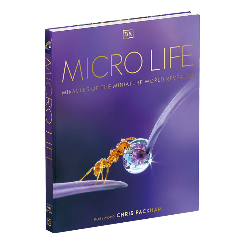 英文原版精装 Micro Life微观生命英文版进口英语原版书籍儿童外文书