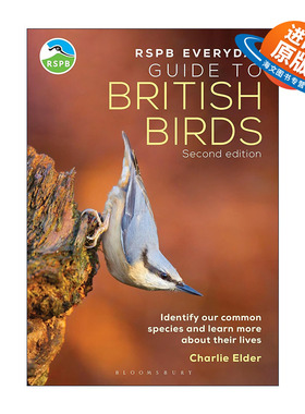 英文原版 The RSPB Everyday Guide to British Birds 皇家鸟类保护协会 英国鸟类日常指南 英文版 进口英语原版书籍