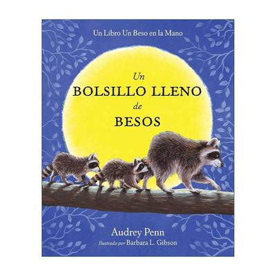 原版 Un bolsillo lleno de besos 浣熊奇奇 魔法亲亲 西班牙语版 开学恐惧症治愈绘本 精装 进口原版书籍