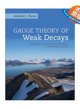 英文原版 Gauge Theory of Weak Decays 弱衰变规范场论 Andrzej J. Buras 精装 英文版 进口英语原版书籍