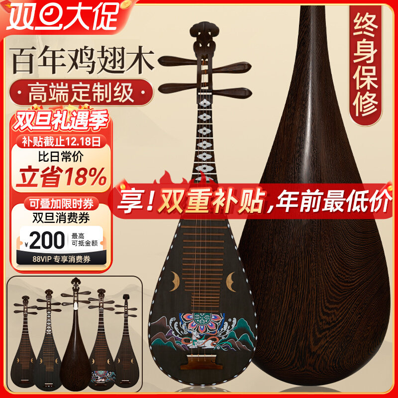 鸡翅木琵琶成人初学儿童专业演奏古风乐器凤尾头敦煌彩绘定制五弦