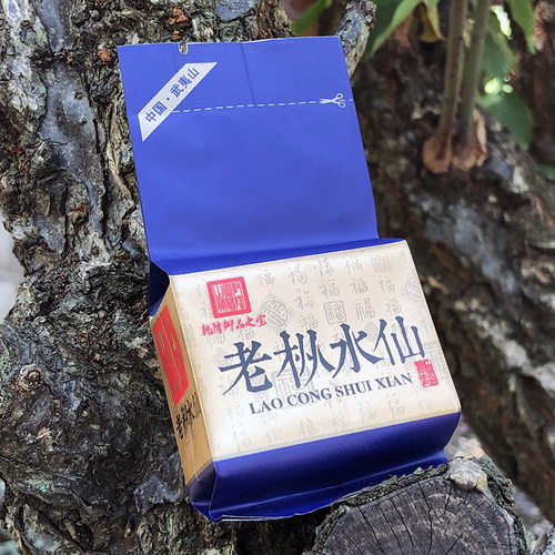 刘盏茶老枞水仙兰花香大红袍