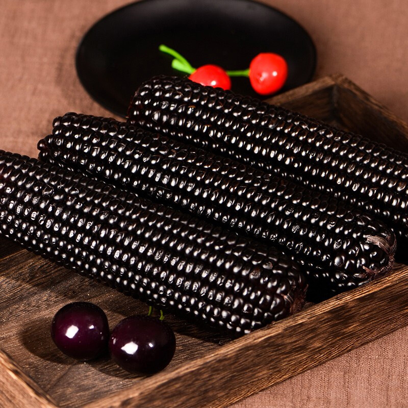 新鲜采摘粗粮非转基因黑糯玉米