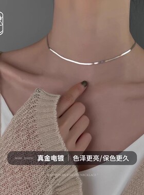 小众精致项链S925银气质锁骨链女高级感轻奢小众颈链夏天银色配饰