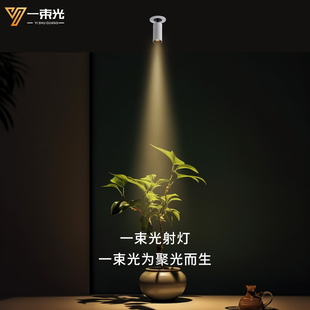 客厅吊顶茶室玄关展示柜吧台餐桌led聚光灯 一束光小射灯迷你明装