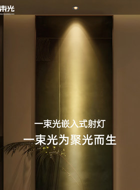一束光聚光射灯/设计师推荐正品