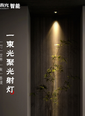 一束光智能射灯小角度聚光吊顶嵌入式调光茶室氛围玄关灯55mm黑色