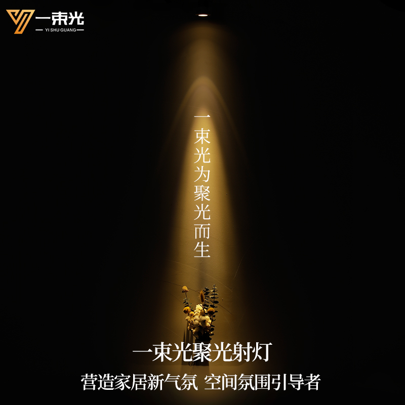 一束光聚光射灯/设计师推荐正品