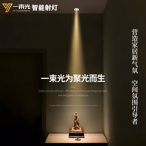 一束光智能射灯/设计师首选正品